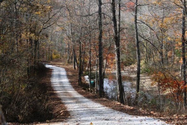 Well, no, there's Felkins Creek again on the side of the road heading out.