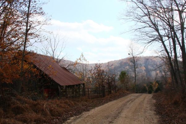 The old shed to go with the old homestead.