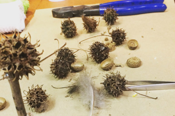Gumballs, acorn caps, dried flowers, and a soft feather. Twig art supplies all spread out.