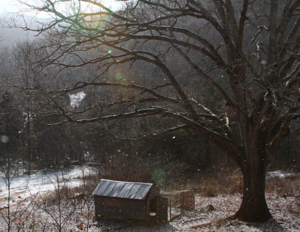 Last snow of 2017.