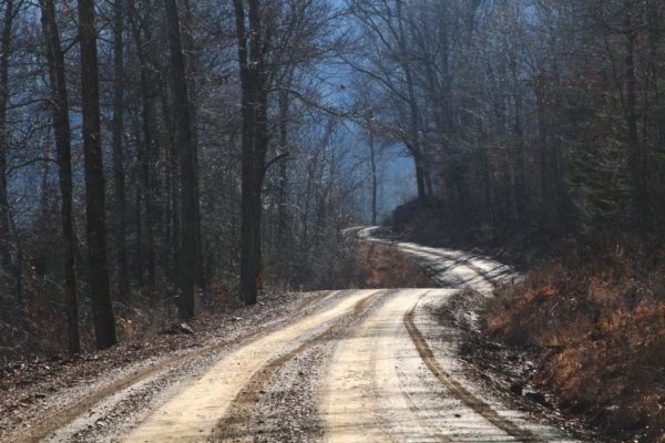 Our county road is full of curves and hills.