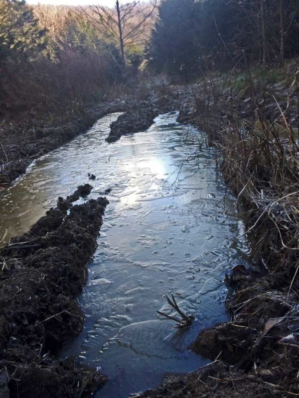 Through Ice and Mud. Ice in the spring puddles on the way to the top gate in the horse's field.