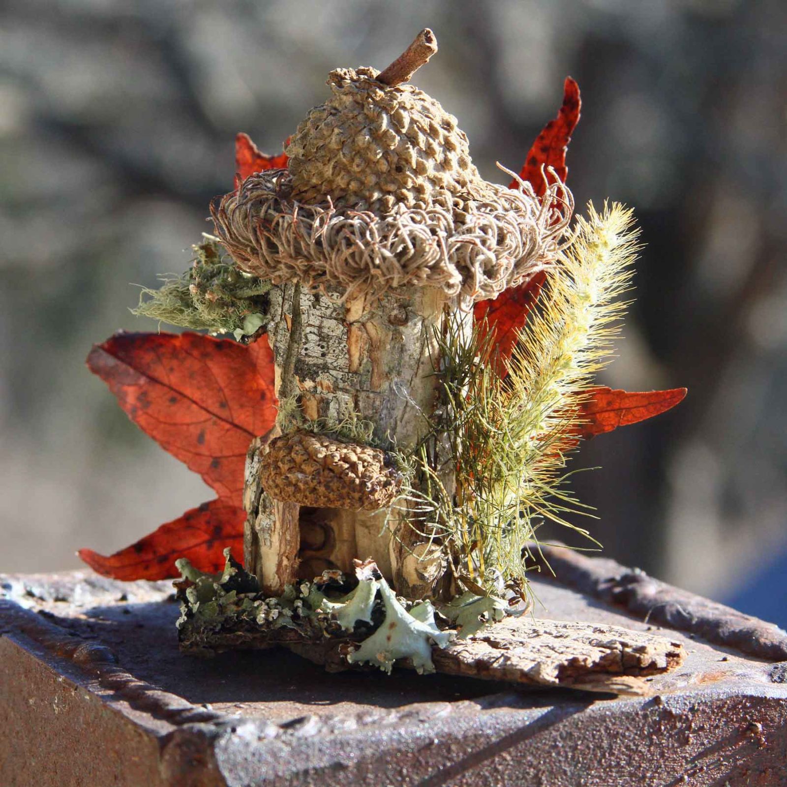 A wee little fairy house made from Wild Ozark nature farm botanicals.