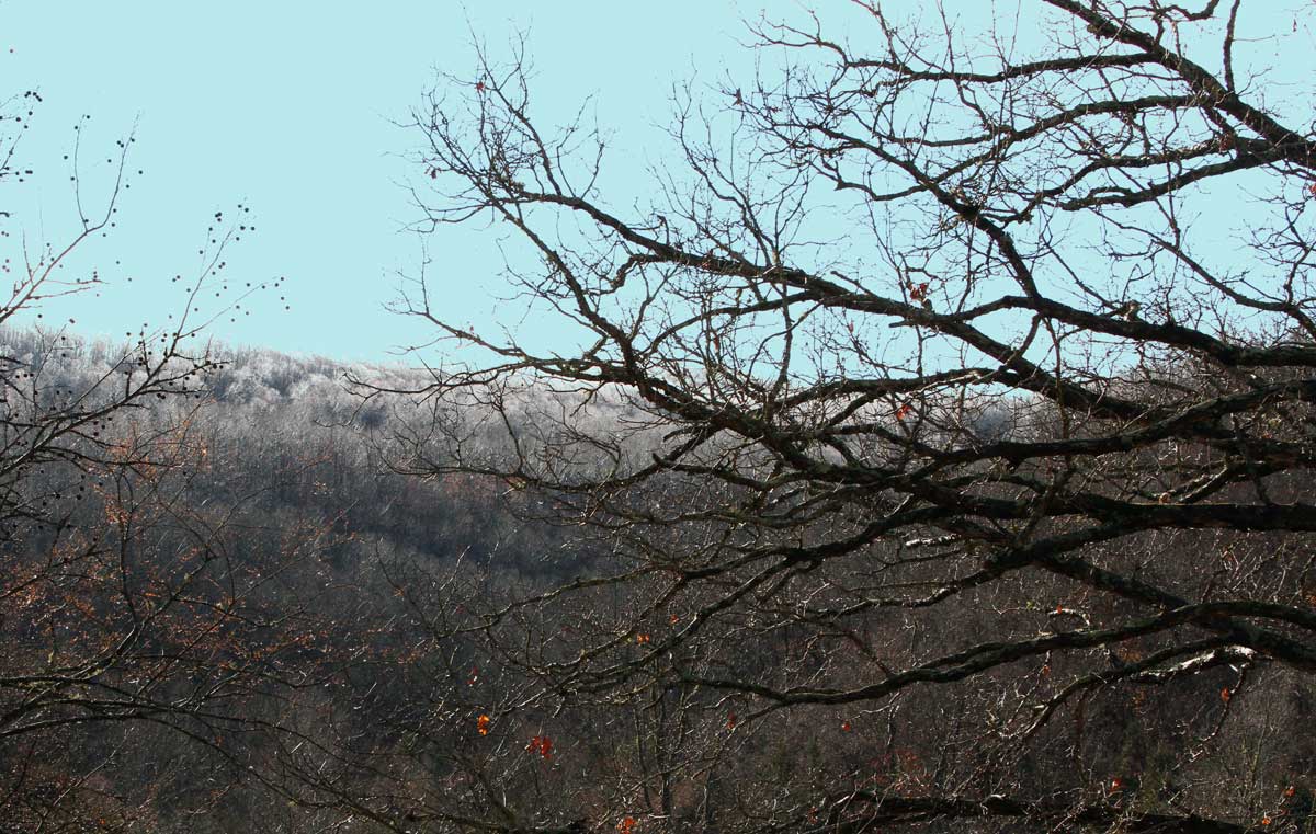 Frozen Fog in the Distance