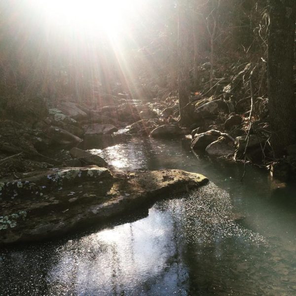 Early morning rays on the creek.