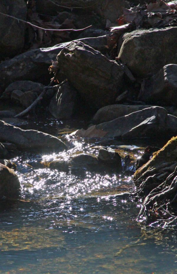 Sun Sparkles, nature art photography for the wall.