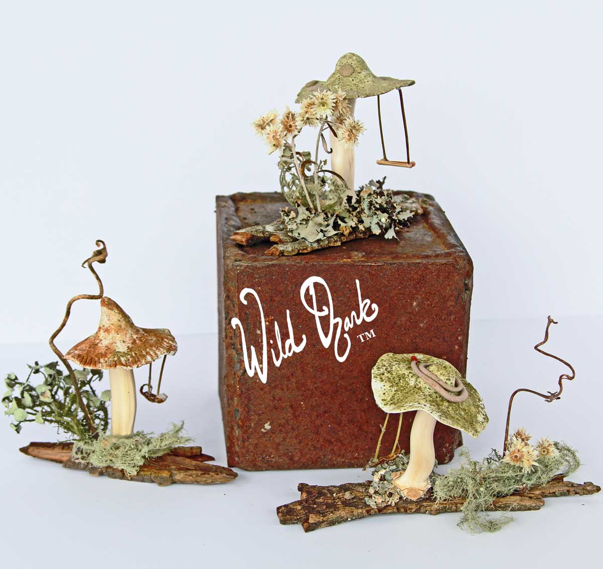 Fairy Swing Mushrooms- New Nature Art from Wild Ozark.