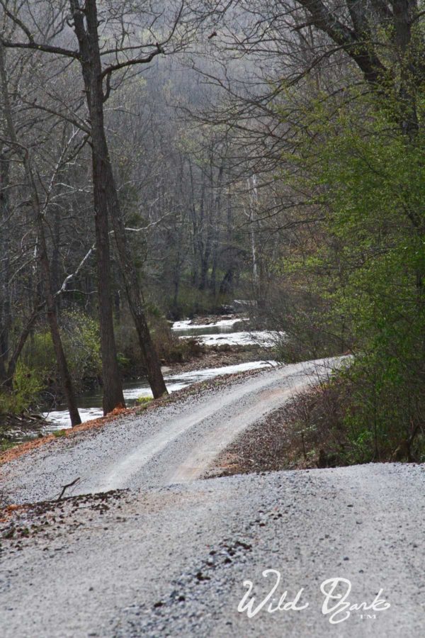Lodging near Kingston, AR... not many nearby, but lots of beautiful scenery in between! What's Not to Love? On the way to Wild Ozark.