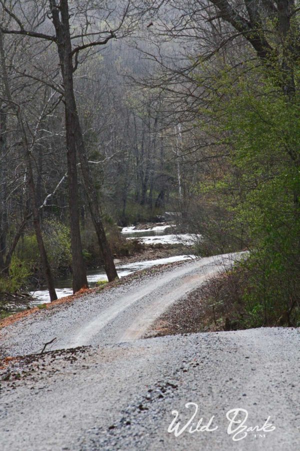 Lodging near Kingston, AR... not many nearby, but lots of beautiful scenery in between! What's Not to Love? On the way to Wild Ozark.