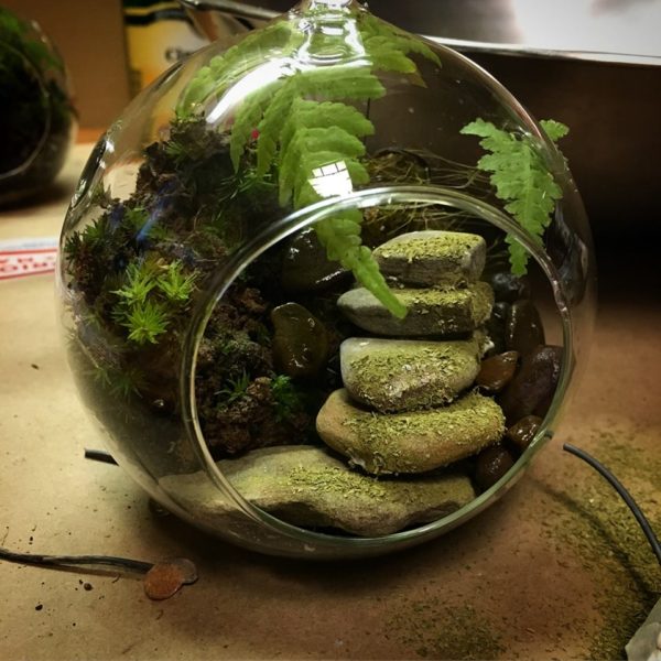 Fairy garden with moss-covered steps.