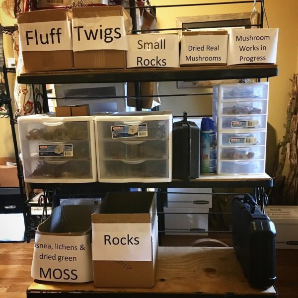I've been organizing my studio and categorizing my nature art supplies so they're easier to find when I need them.