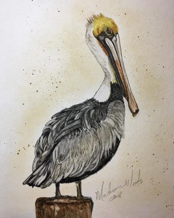 For this pelican, I did have to resort to a couple of outside colors, although they were still my own handmade watercolors. I used lapis for the blue in his eye and French green clay to give the gray the right tint.