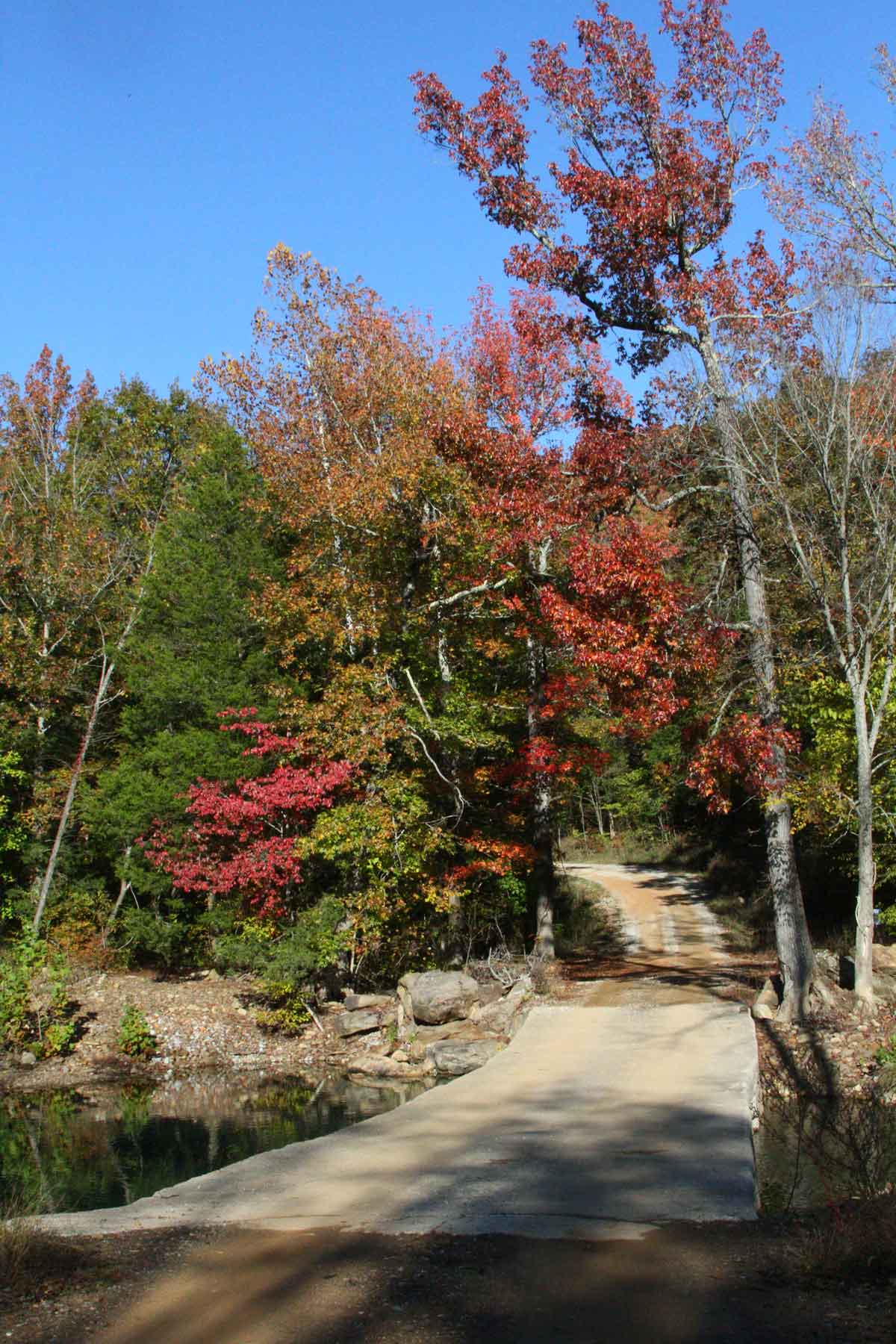 At the second Felkins creek bridge.