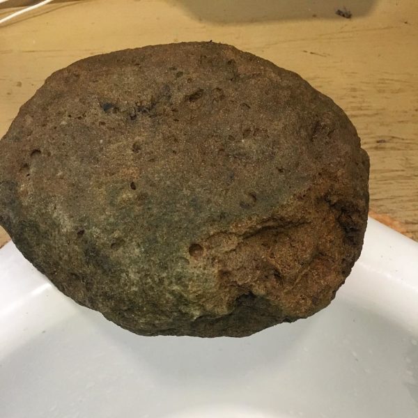 A flattened grapefruit sized rock that'll make some nice handmade paint!