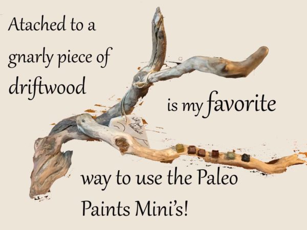 Now it has Paleo Balls and mini's mounted on it. Love my gnarly driftwood!
