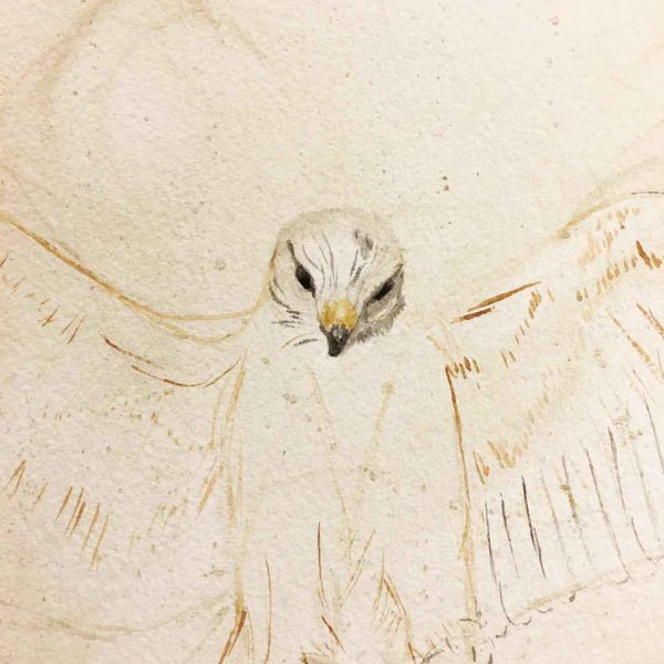 Now the tilt is right, and I put the eyes and beak. I will work more on this later, but this is enough for now to allow me to move on.