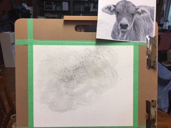 Brahman baby in progress. Starting out with a little smudge and splatter using creek shale and charcoal dust.
