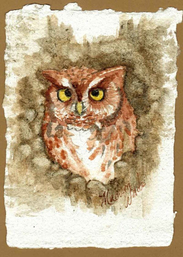 Screech owl painting (quick version).