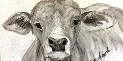 Decorate with nature using this sweet"Brahman Baby" painting in bone black, creek shale, and willow black..