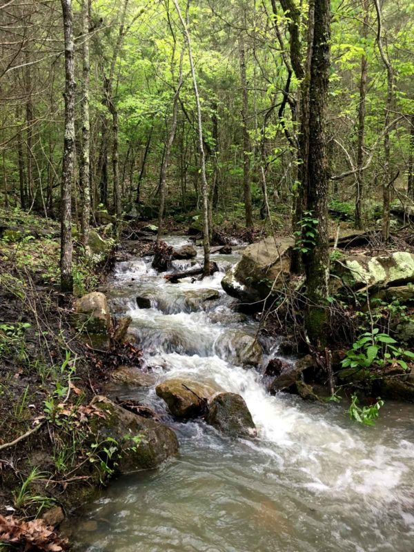 The part of the creek near the gate.