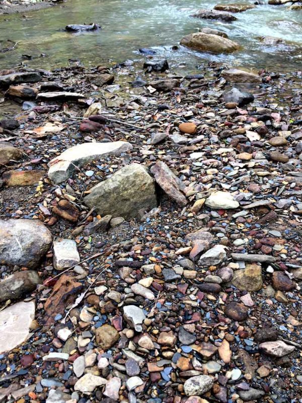 Gifts from the Creek- she delivers in spades after a good flood!