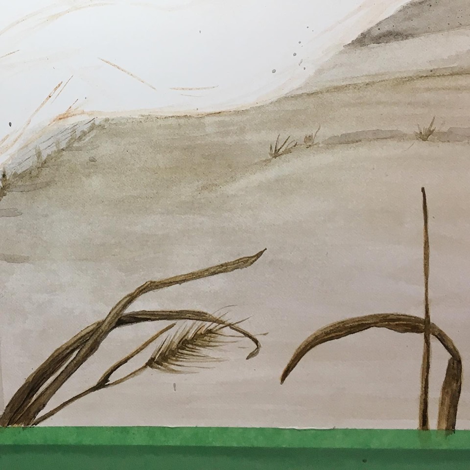 Foreground grasses