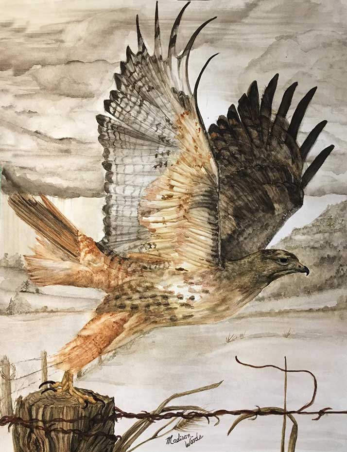 “Destination Unknown”, in Ozark earth pigments was accepted to the 78th Annual Audubon Artists Exhibit. The show is online this year, from Nov. 1 through Dec. 31. https://audubonartists.org/audubon-artists-78th-annual-exhibition/