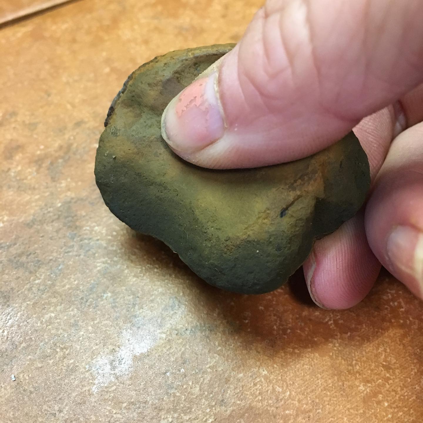 While out gathering earth pigments, I found this rock that might have once been used as a tool.
