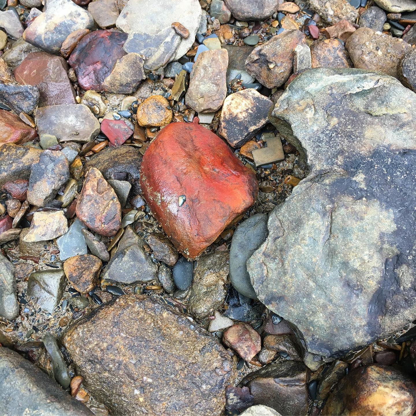 Another great pigment rock. I'll use this to make a paint. Original paintings are a classy way of decorating with nature.