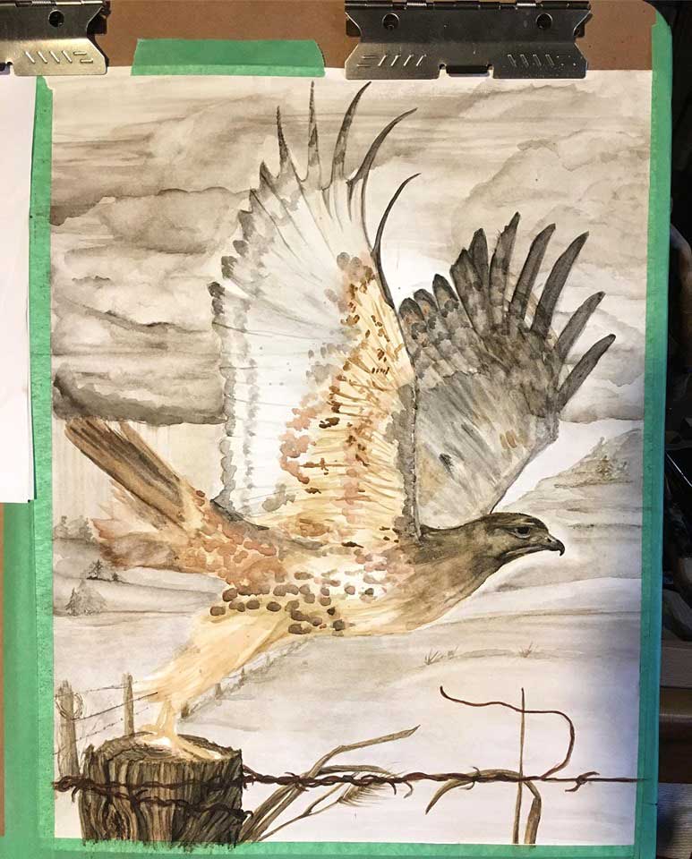 red-tailed hawk painting in progress