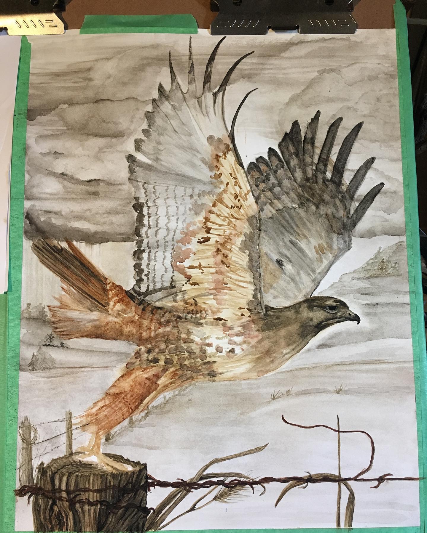 Progress on the red-tailed hawk painting.