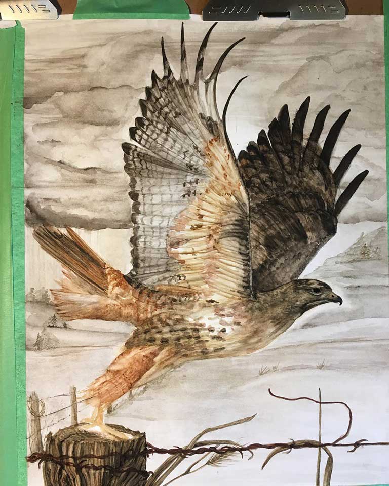 All done on the hawk now, except the feet.