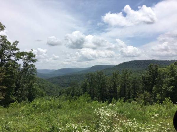 Overlooking the Upper Buffalo River Valley from the road to Hare's Hideout.