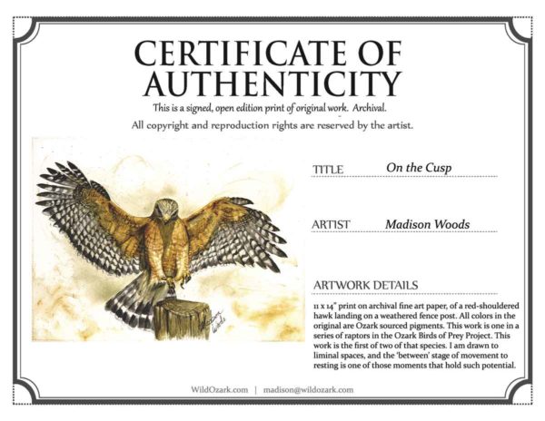 COA for the red-shouldered hawk print by Madison Woods