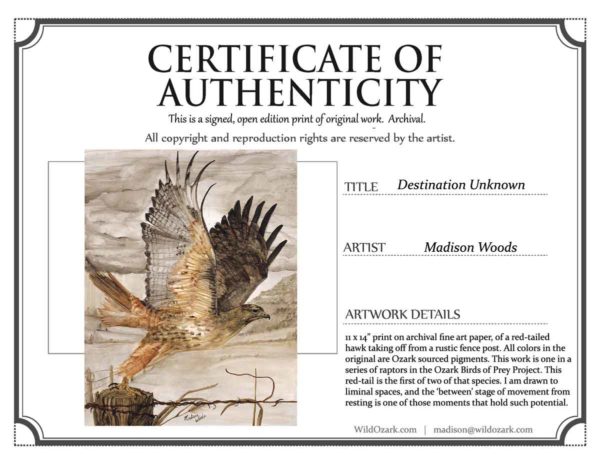 A sample of certificate of authenticity for Destination Unknown.
