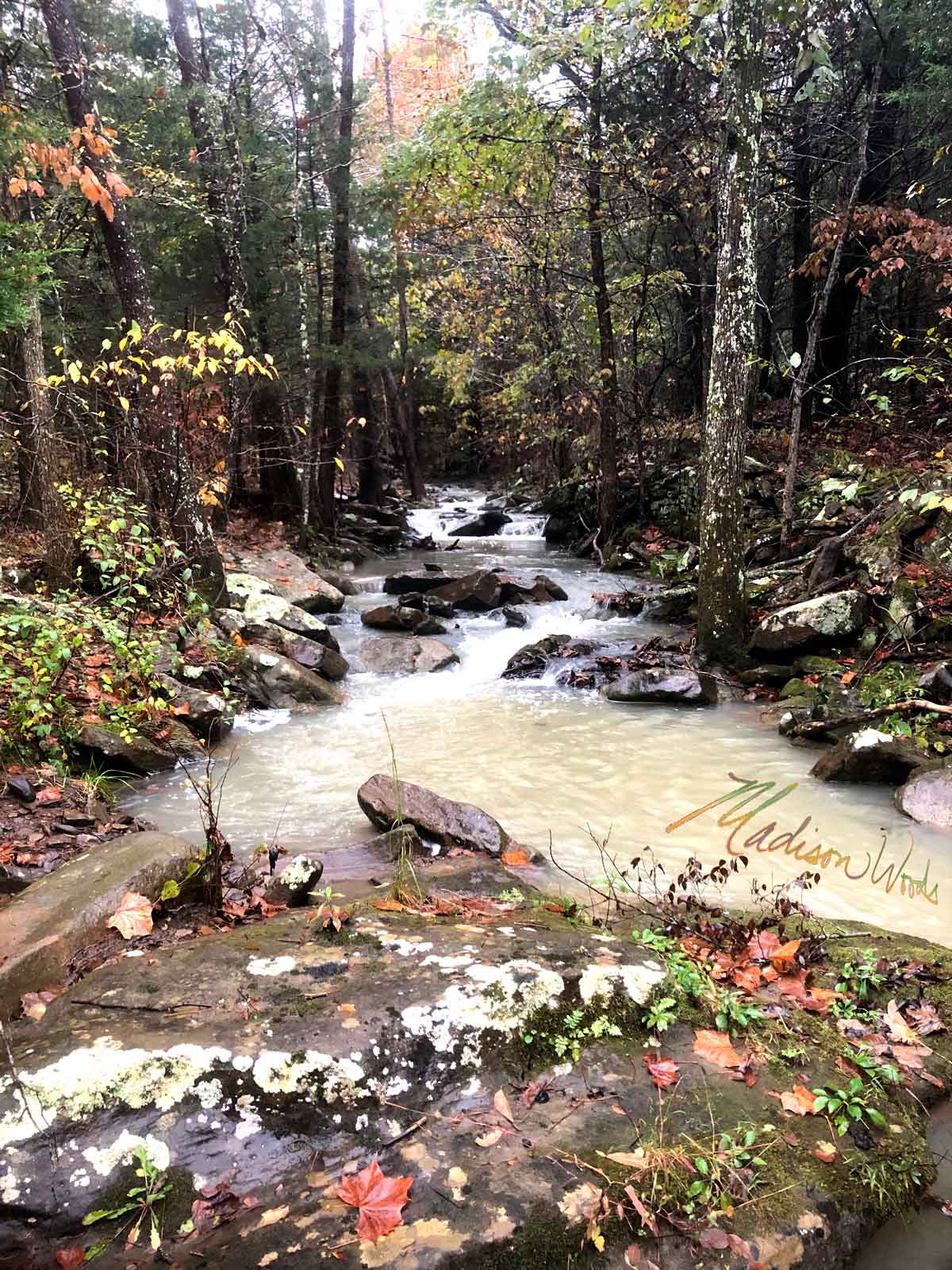 Kicking off the 2019 Autumn Colors in the Ozarks page with my favorite rock-sitting spot.