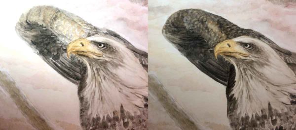 Working on the details of my bald eagle's wing.
