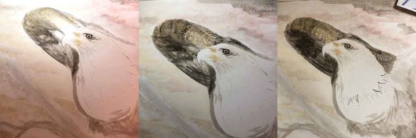 Shows the progression of painting the back wing of this bald eagle.