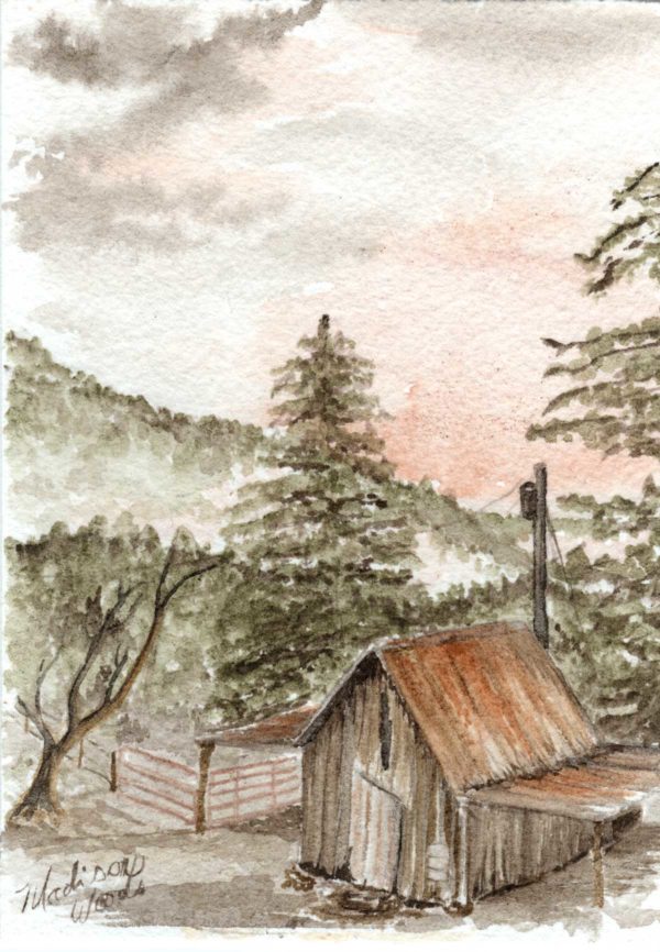 Painting of the old shed, by Madison Woods, one of my 2020 Small Works.