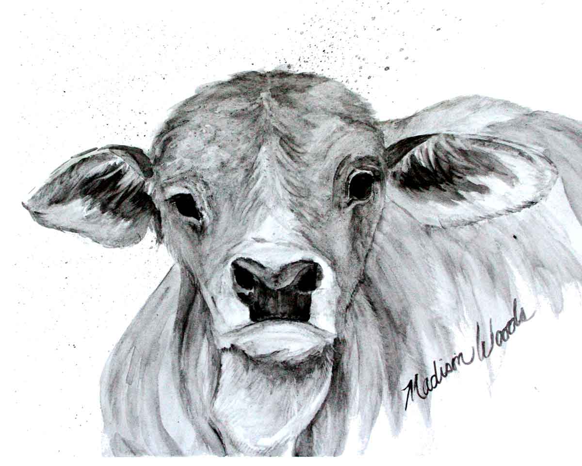 Grayscale Art | Painting in Black, Gray and White | Wild Ozark™