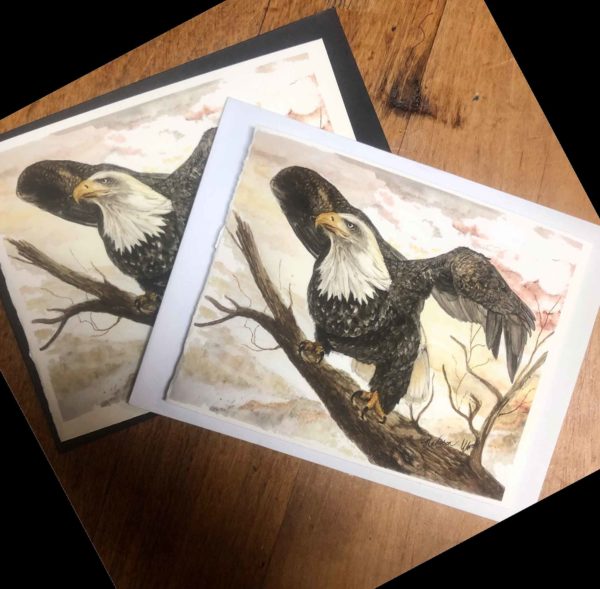 Note cards featuring prints of my bald eagle painting.