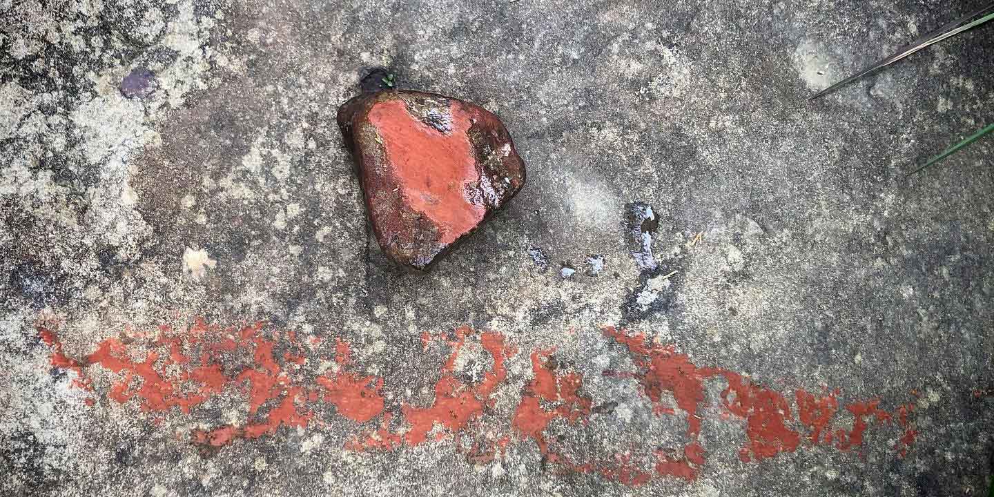 Maybe not flora and fauna, but definitely surrounded by it in plenty. This red rock came from the creek and shows a lot of pigment promise.