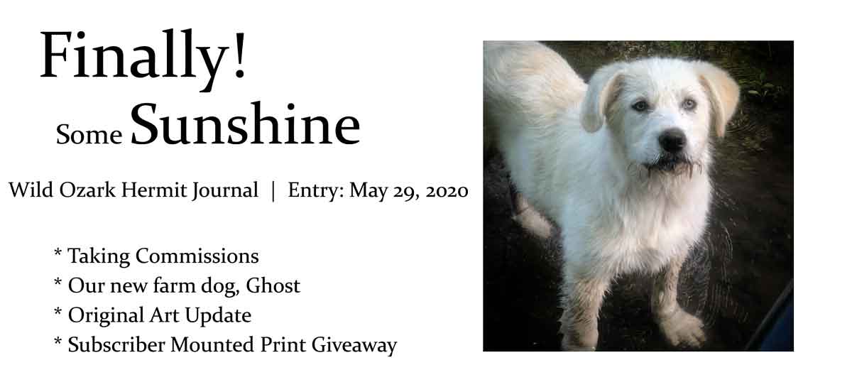 * Taking Commissions * Our new farm dog, Ghost * Original Art Update * Subscriber Mounted Print Giveaway