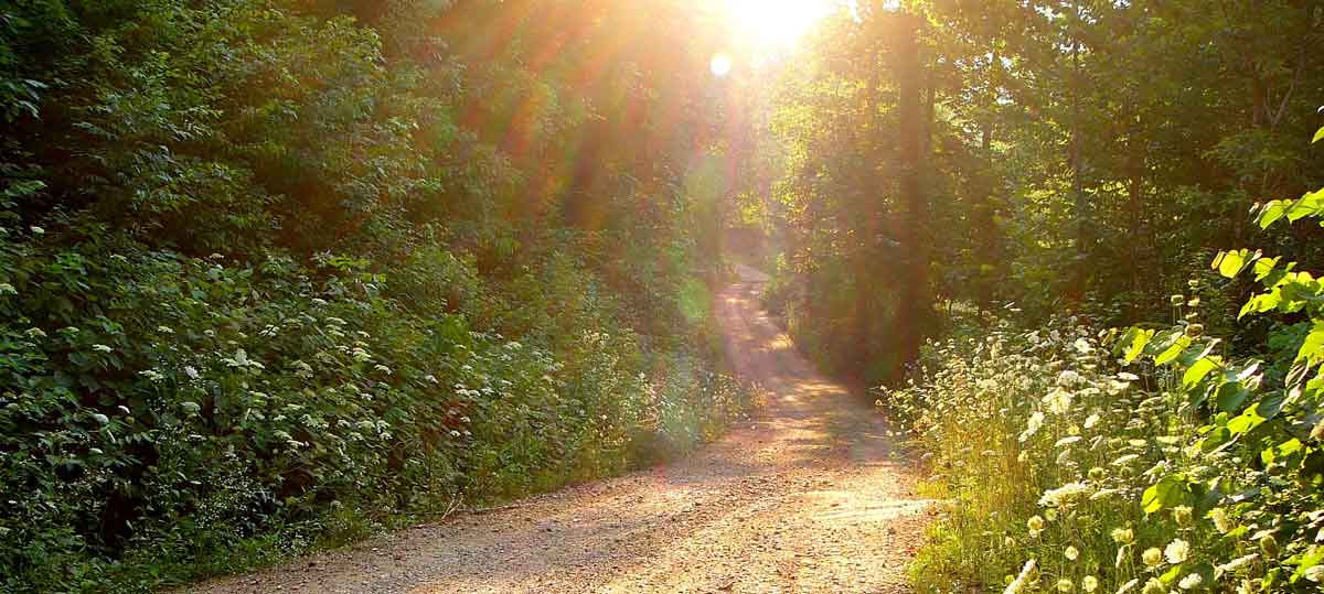 A good place to see flora and fauna, and to feel the sacred art of living out here at Wild Ozark.