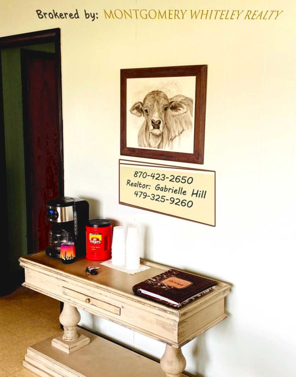 Brahman Baby original on the wall at Gabby's office in Green Forest, Arkansas.