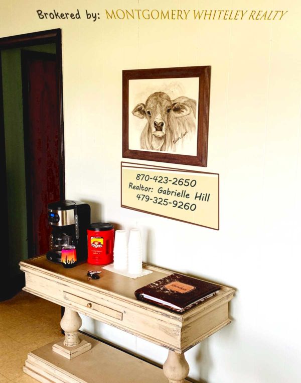 Brahman Baby original on the wall at Gabby's office in Green Forest, Arkansas.