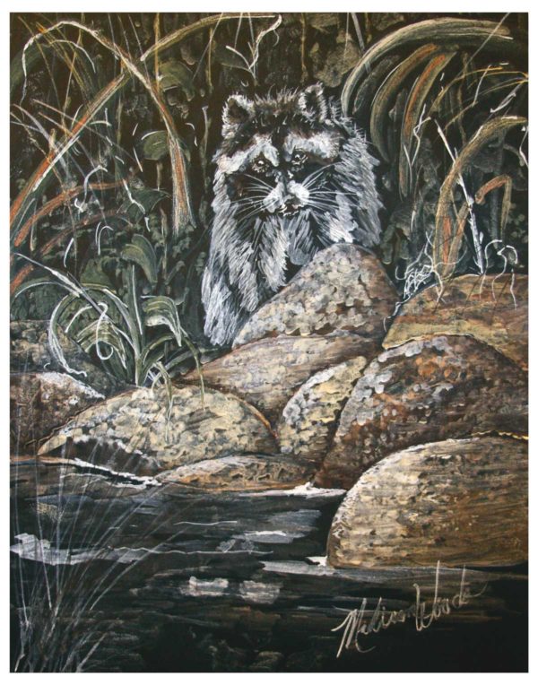 Art inspired by nature: 'Raccoon on the Rocks' in Ozark pigments by Madison Woods.