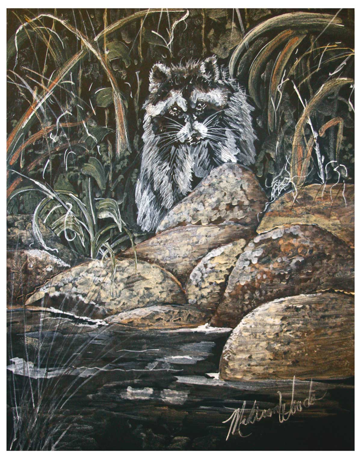 'Raccoon on the Rocks' in Ozark pigments by Madison Woods.