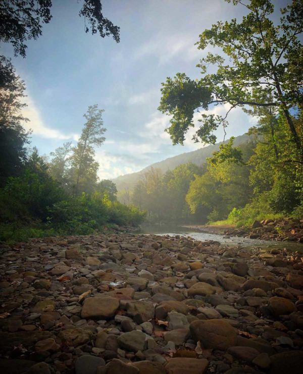 This creek plays a large role in the color story of Wild Ozark's Paleo Paints and pigments.