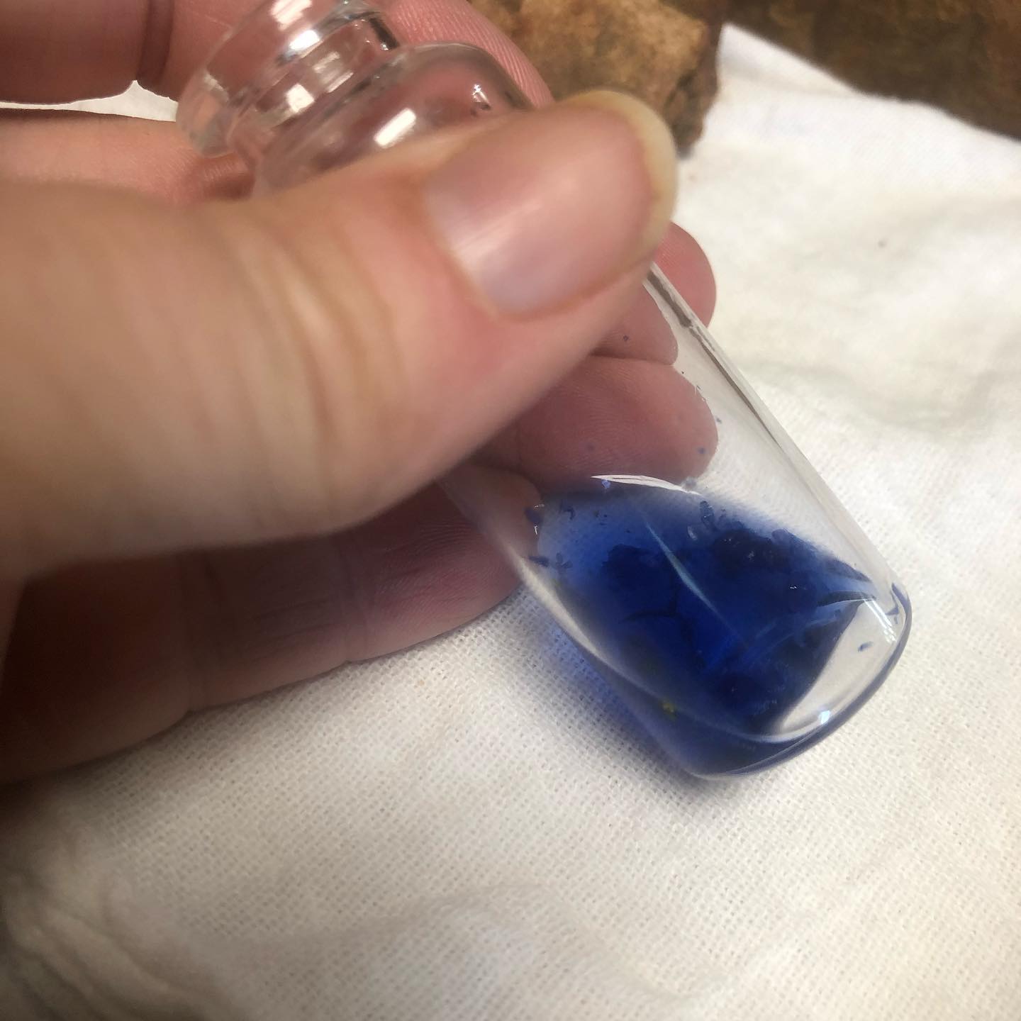 A tiny bit of blue pigment extracted from Commelina communis petals.